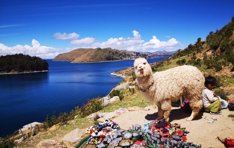 LAGO TITICACA COPACABANA - ISLA DEL SOL FULL DAY